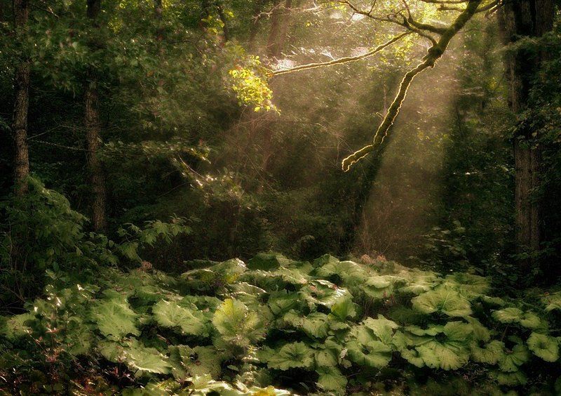 Абажур из паутины.photo preview