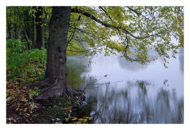 минск, туман, октябрь ---photo preview