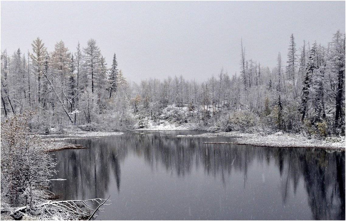 таймыр, Vladimir