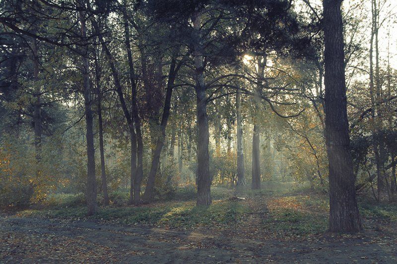 Утроphoto preview