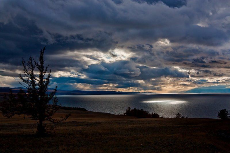 байкал, ольхон Ольхонские зайчикиphoto preview