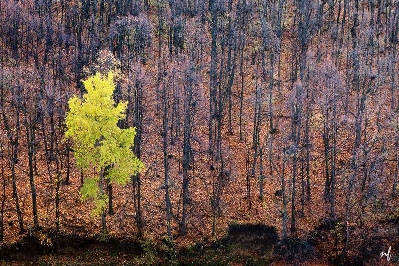 Жить вопрекиphoto preview