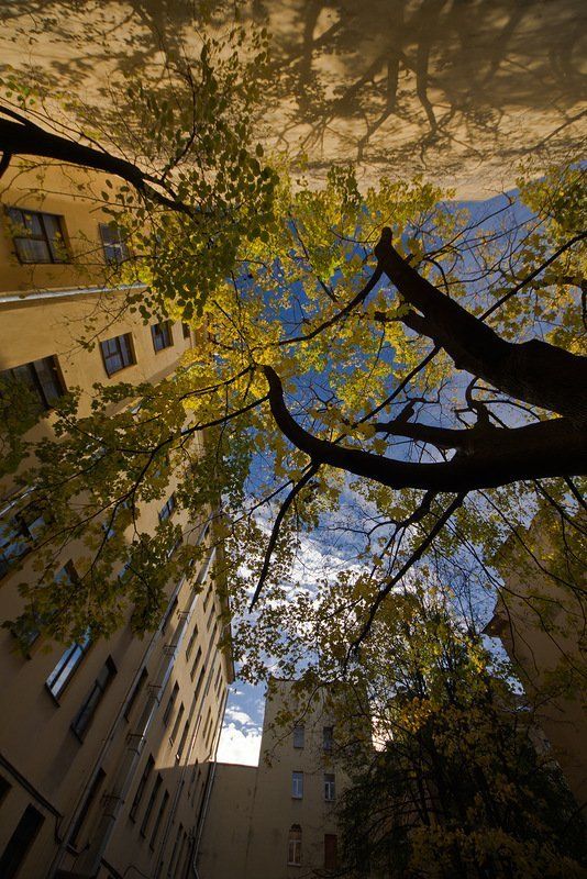 Осенняяphoto preview