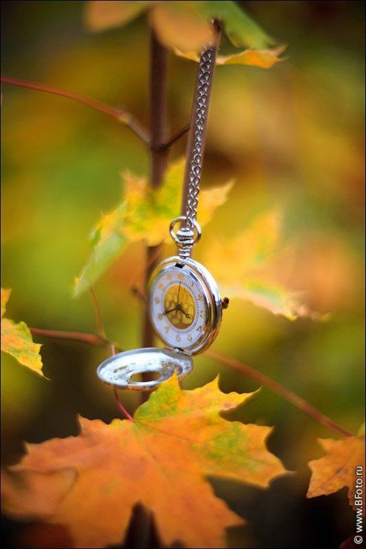 часы, время, осень, гелиос, 40-2 Старинные часыphoto preview