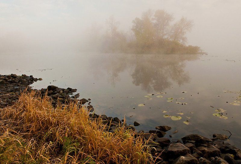 киев,гидропарк,осень,туман,утро, Осеннее утроphoto preview