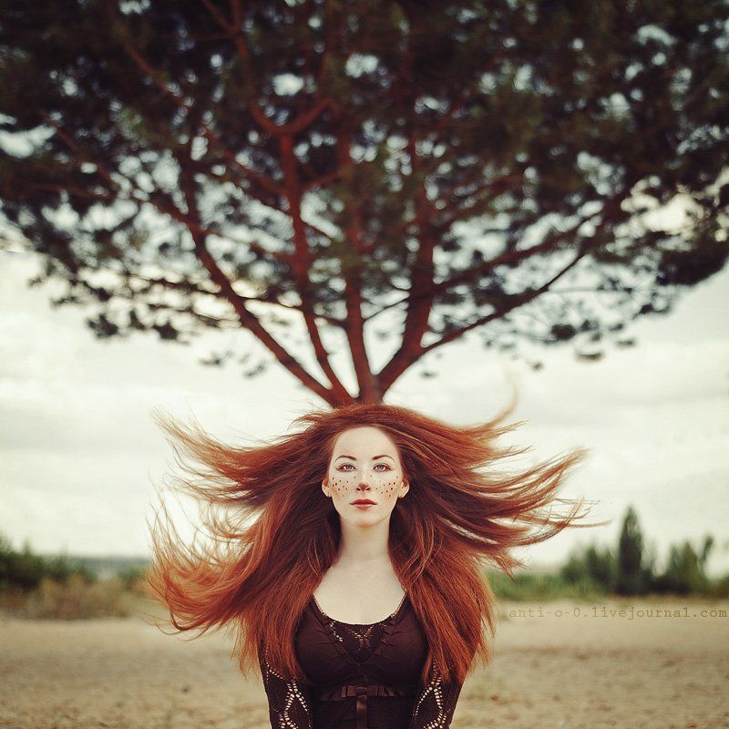 My deerphoto preview