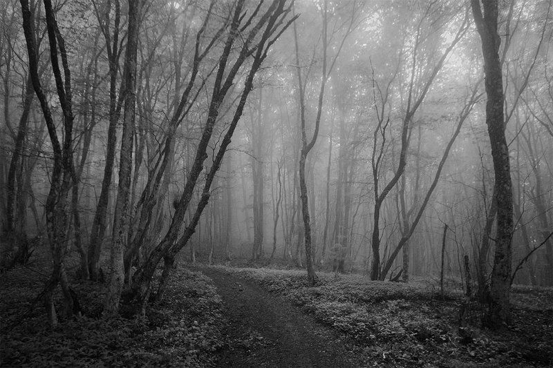 Туманноеphoto preview