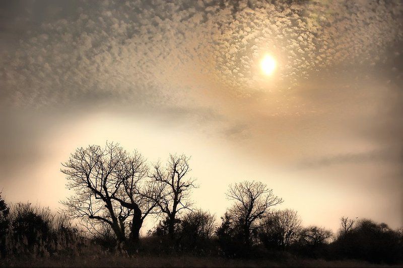 цепью жемчужноюphoto preview