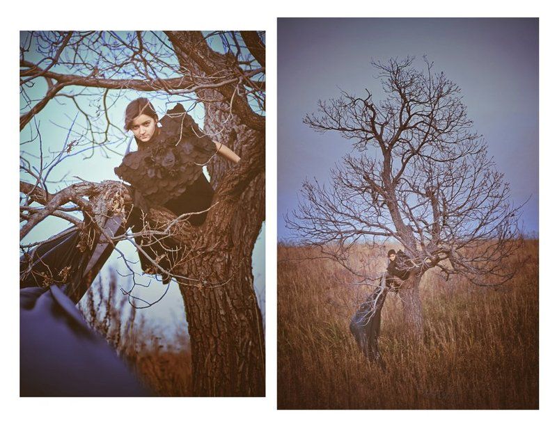 Черная птицаphoto preview