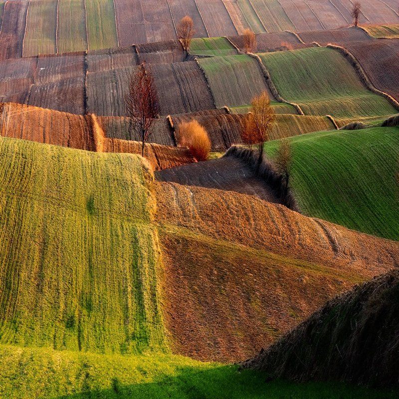 волны, волныphoto preview