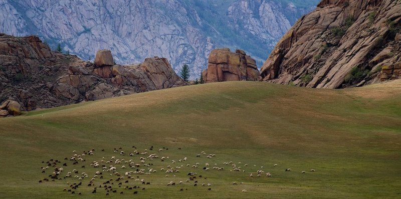 монголия, горхи-терелж  gorkhi-terelj national park, mongolia. Монголия.Горхи-Терелж. фото превью