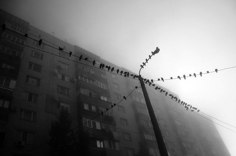 ... фото превью