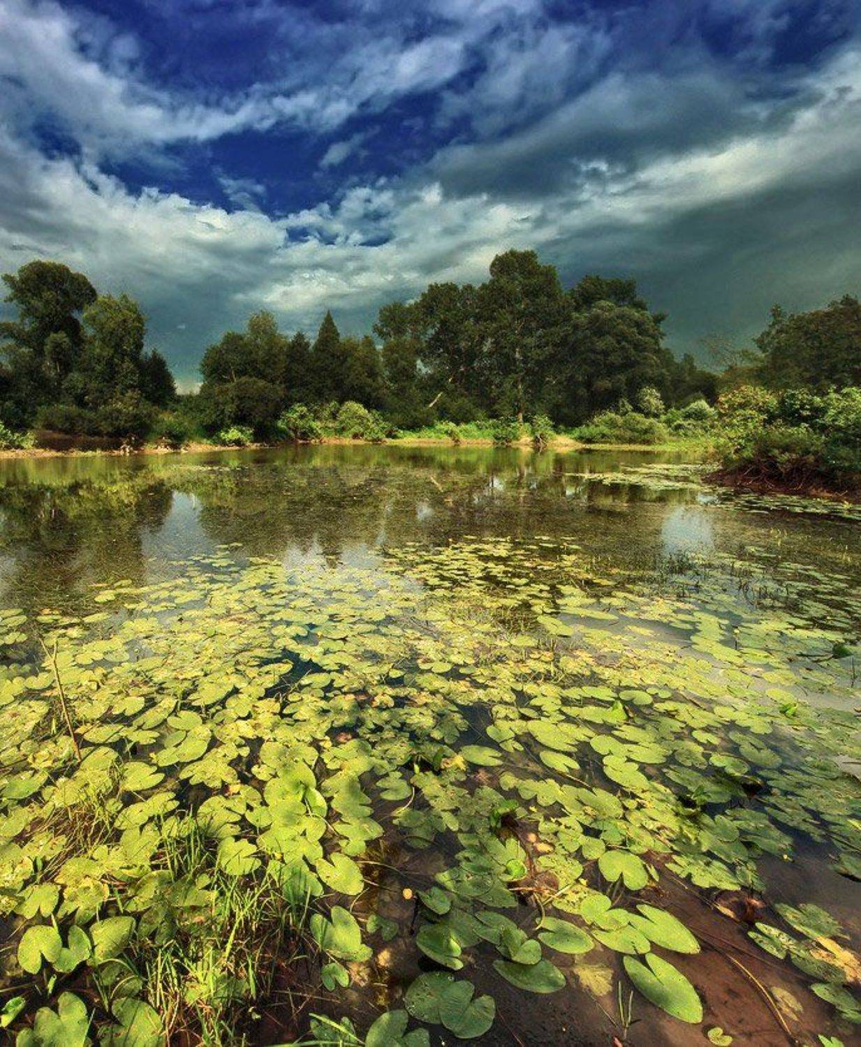 , Галина Хвостенко