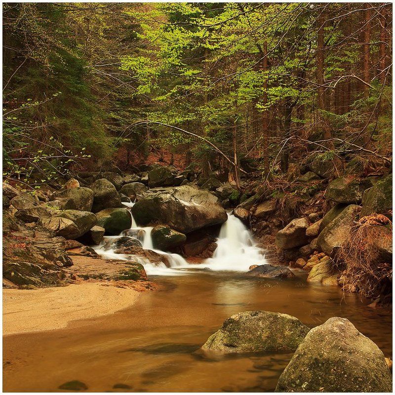 природа, пейзаж, лес, река, камни, листва в лесной глушиphoto preview