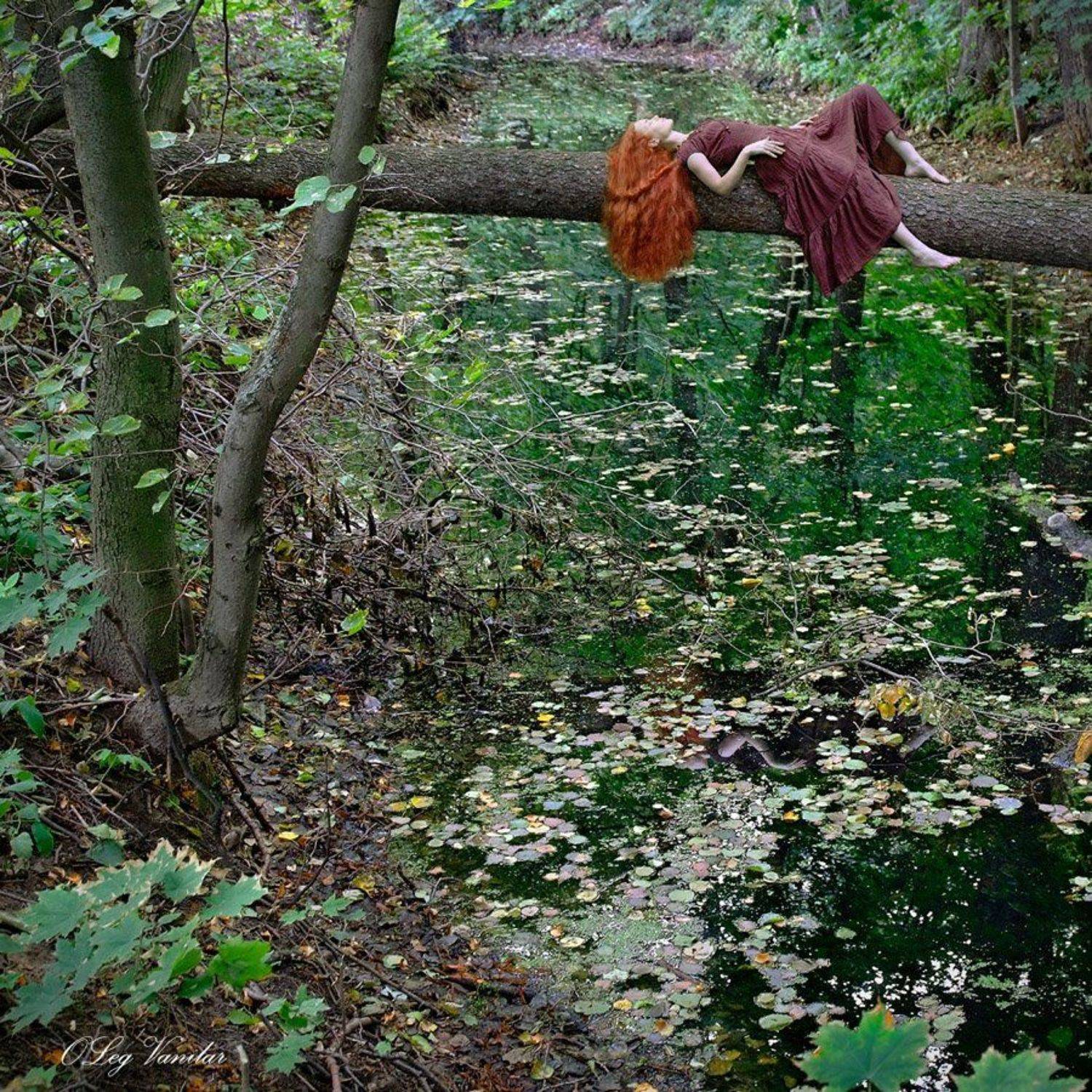 , Олег Ванилар