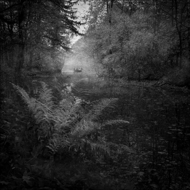 с.петербург, елагин, остров, осень Осенняя пора...photo preview