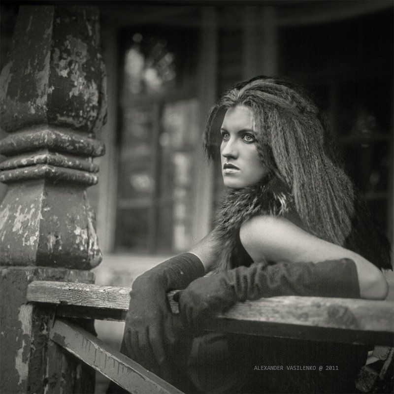 Last voice of an autumn...photo preview