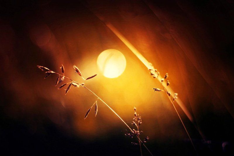 Закатphoto preview