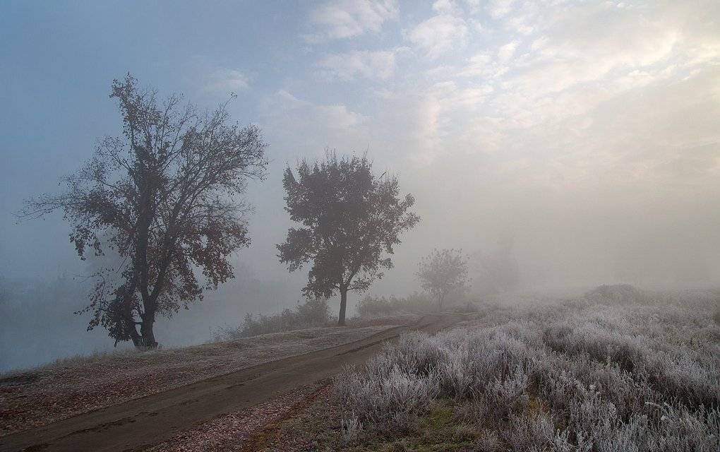 Автор: WENIK , WENIK