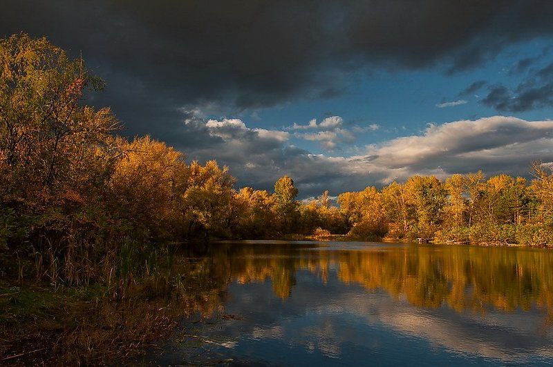 осень,киев,труханов остров,озеро, Контрасты осениphoto preview