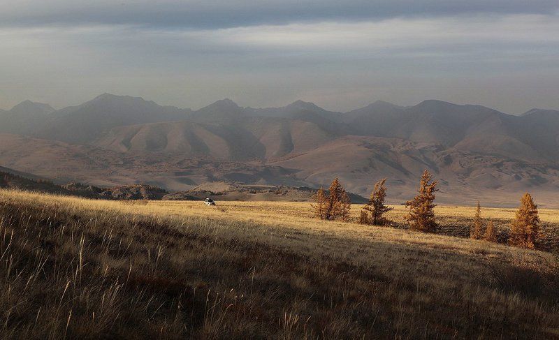 алтай, актру Полный конец обедаphoto preview