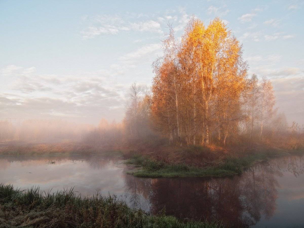 , Марина Брыдня