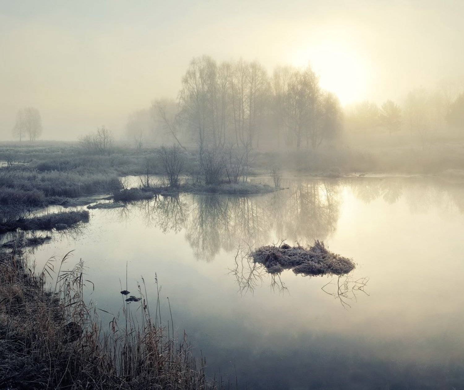 , Олег Пожарков