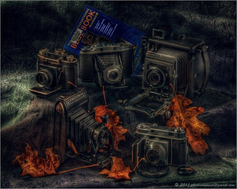 Гармошки...photo preview