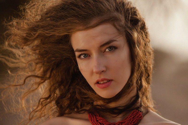 zebromashka desertphoto preview