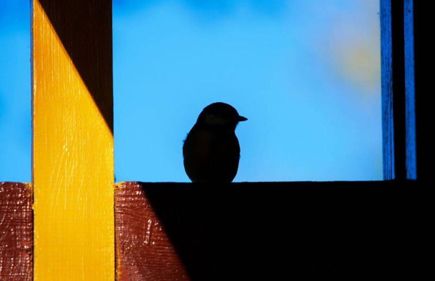 , Дмитрий Сегодник