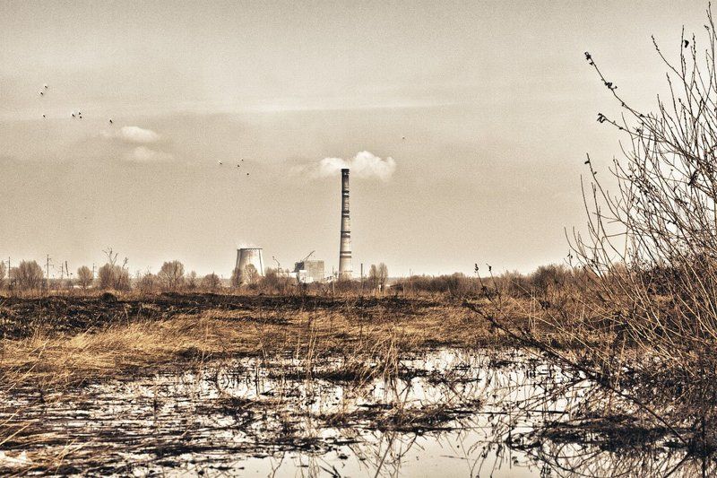 осень, уныние, пейзаж, тец, желтый, сухой, негатив, упадок photo preview