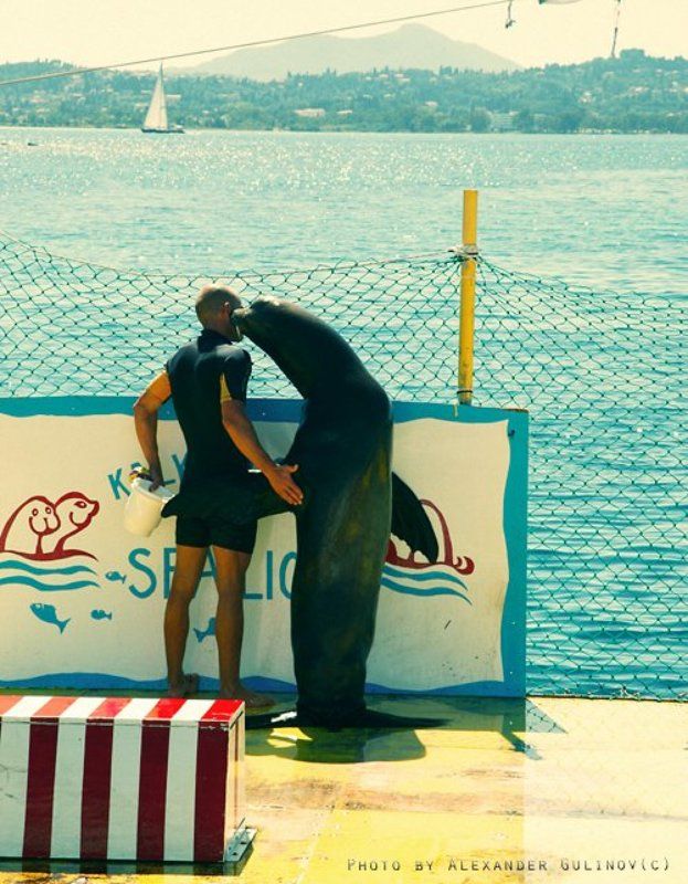 Нежностьphoto preview