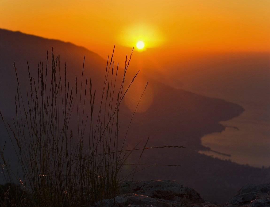 , Игорь Мелекесцев