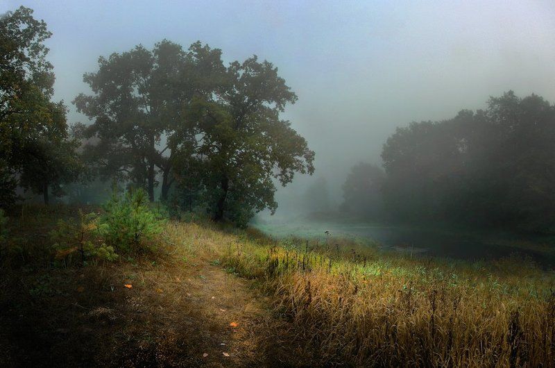 туман, осень, речка Утро на речкеphoto preview