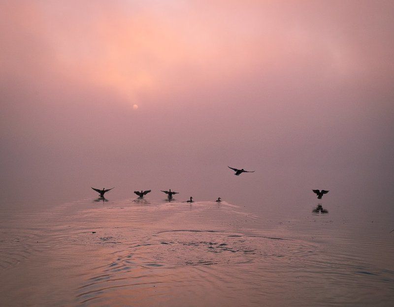 киев,днепр,оболонская набережная, Навстречу солнцуphoto preview