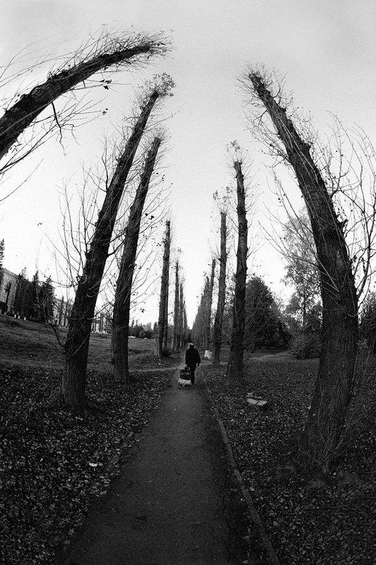 фишай, пеленг, fisheye, peleng о круговороте жизниphoto preview