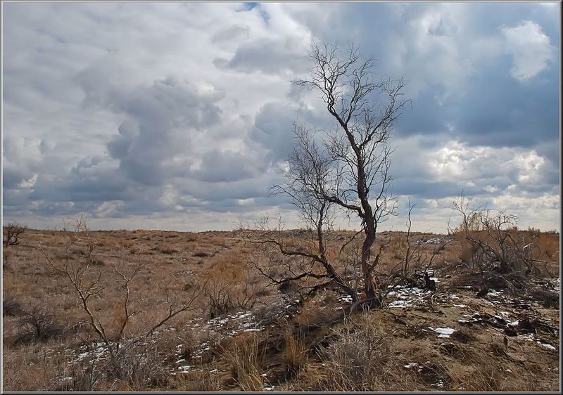 природа ***photo preview