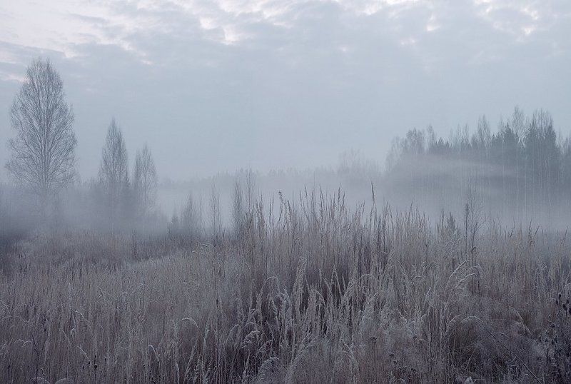 Cедая Осеньphoto preview