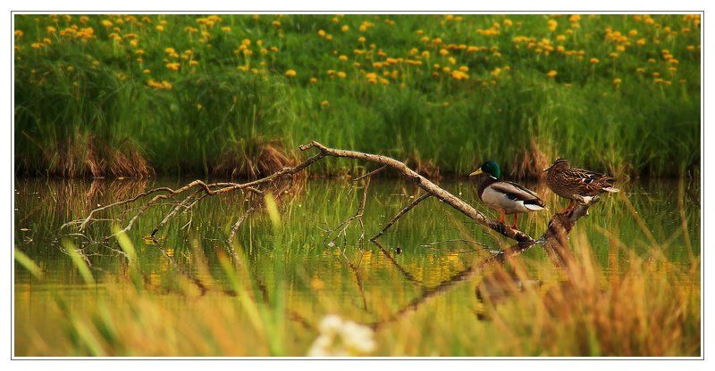 пейзаж тет-а-тетphoto preview