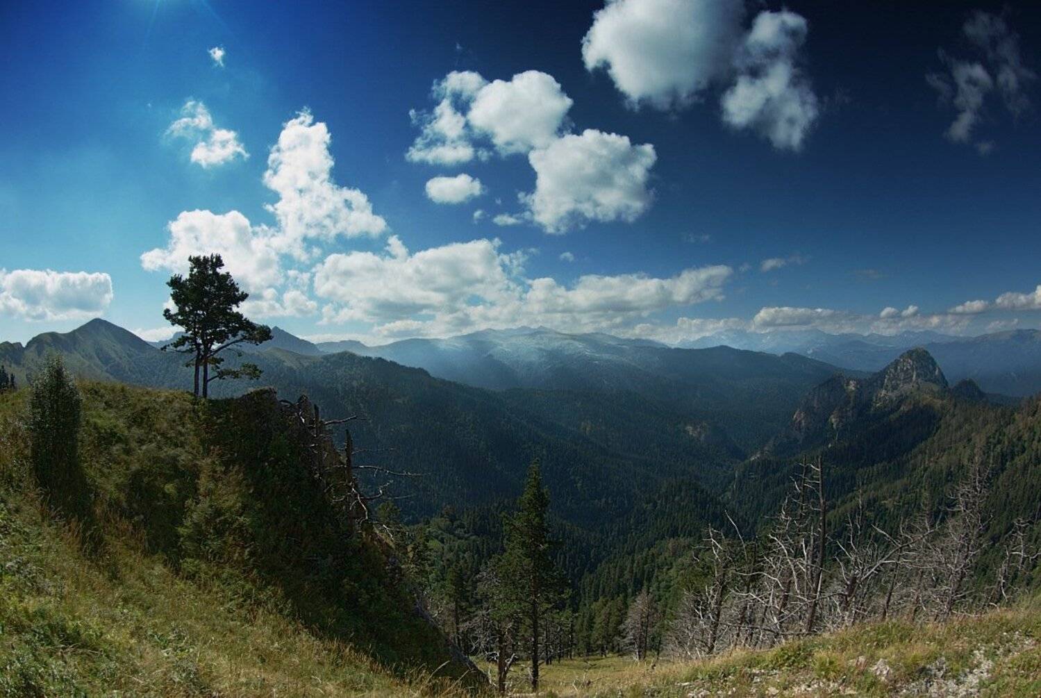 Поднявшийся чтобы уцелеть.. Автор: Виктор тхач, Виктор