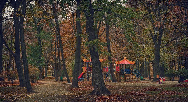 осень Осень в городе....photo preview