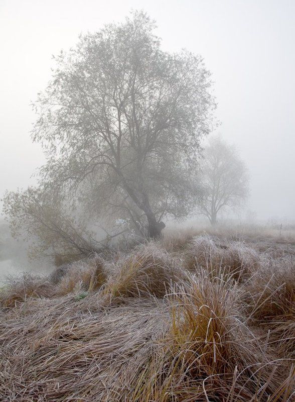 туман на Воронеphoto preview