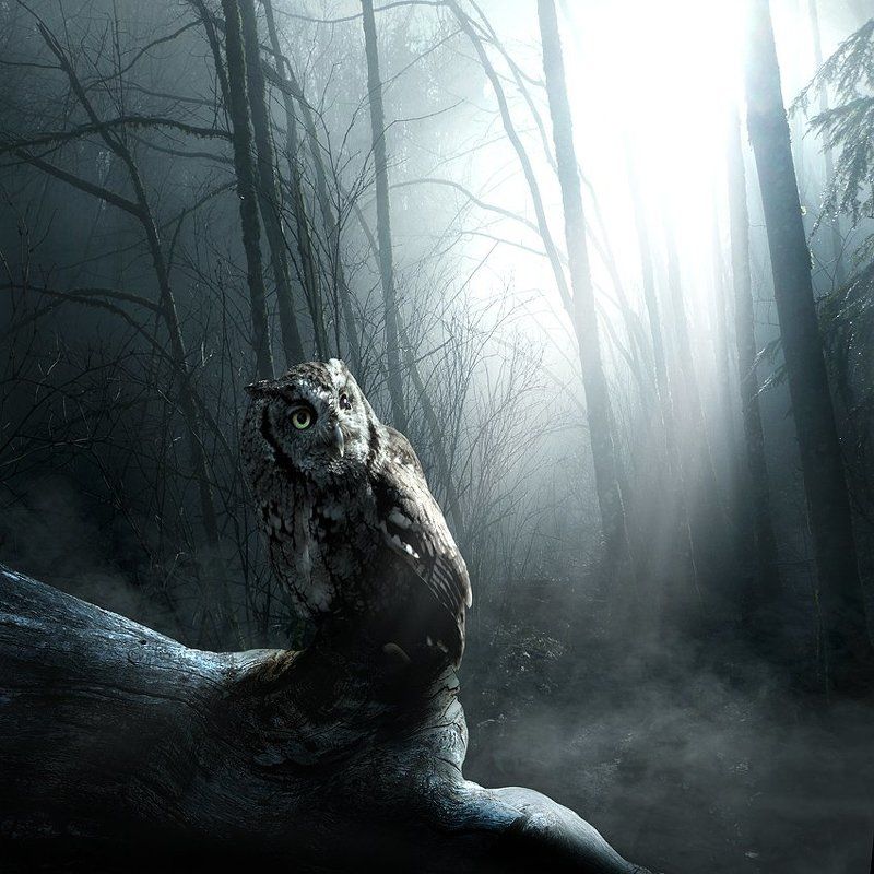 Visions from my parallel worldphoto preview