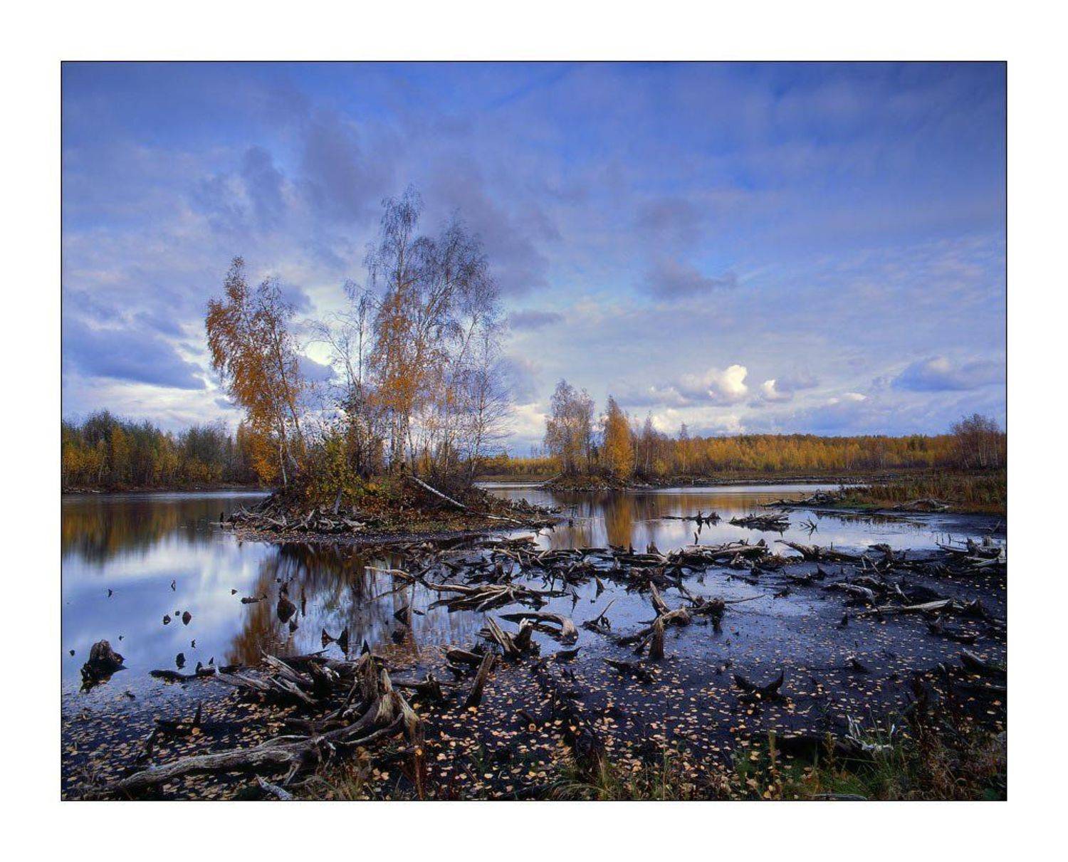 Предзимье 4. Автор: Дима Лялин mformat, Дима Лялин