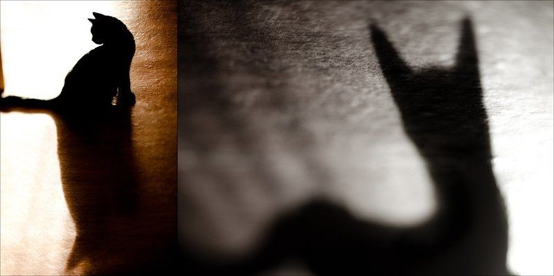 Первые десятьphoto preview