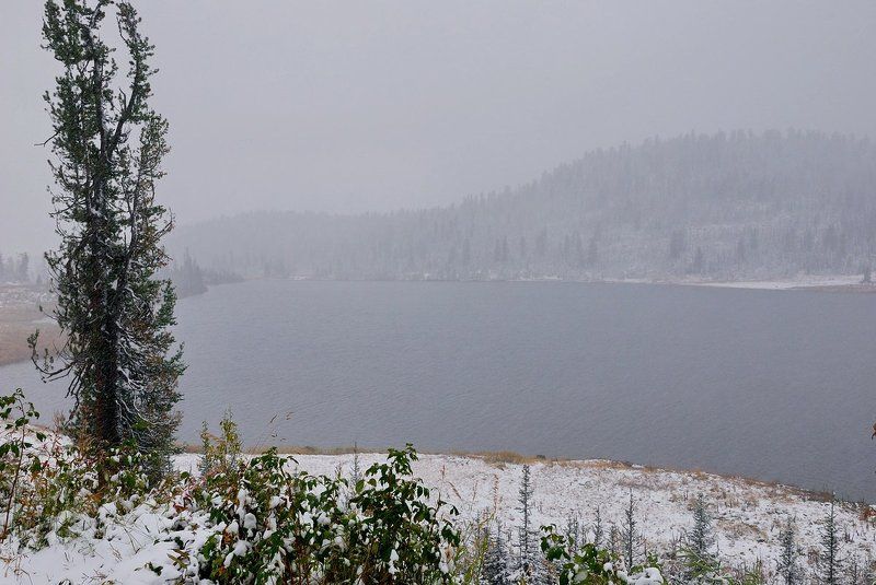 Ненастье.photo preview