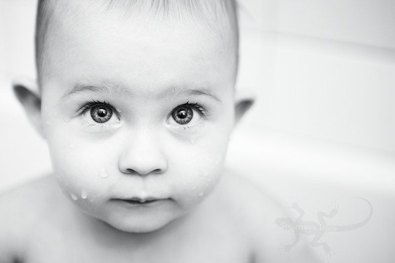 портрет, ребенок, дети ушастикphoto preview