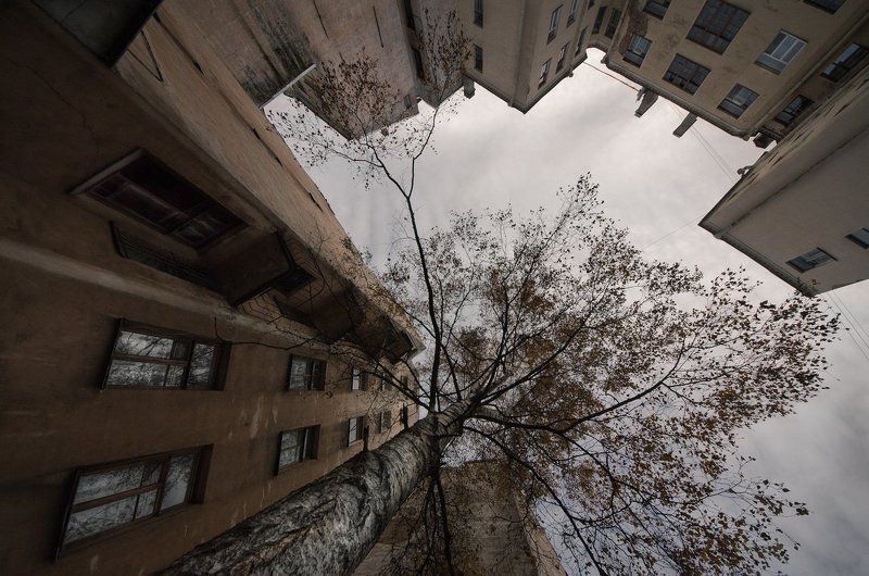 Холоднаяphoto preview