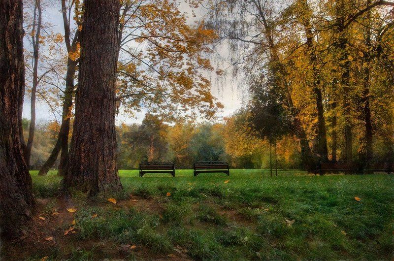 Осенний парк...photo preview