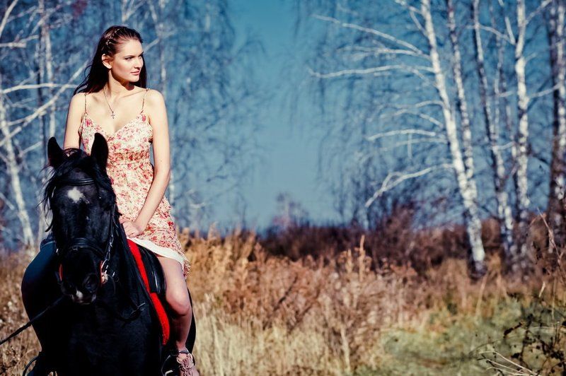 лошадь Horsephoto preview